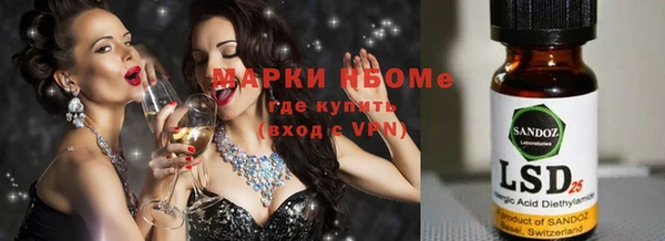 apvp Каменногорск