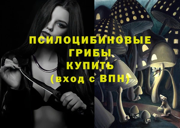 винт Инсар