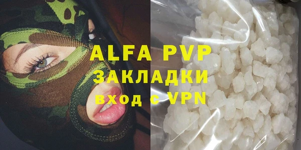 винт Инсар