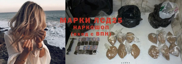 винт Инсар