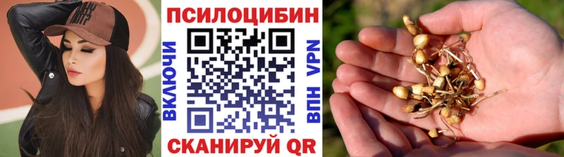 Псилоцибиновые грибы мицелий  Инта 